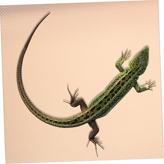 Mikikit Reptile Carpet for Bearded Dragons Lizards Snakes and Tortoises Soft Sturdy Substrate Bedding for Terrariums for Reptile Tanks and Accessories