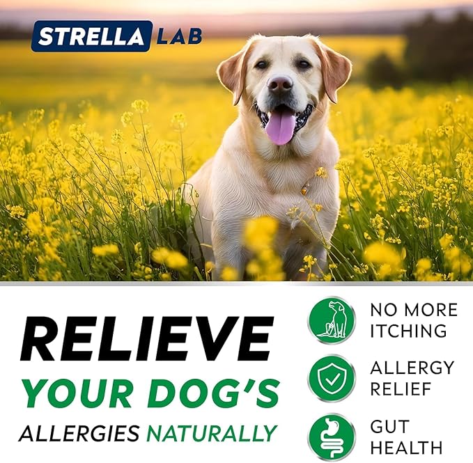 StrellaLab Dog Allergy Relief & Anti Itch Support Chews w/Omega 3: Real Ingredients, Real Taste! Skin & Coat Immune Supplement w/Fish Oil, Pumpkin & Enzymes — Developed by Experts - Made in USA -120Ct