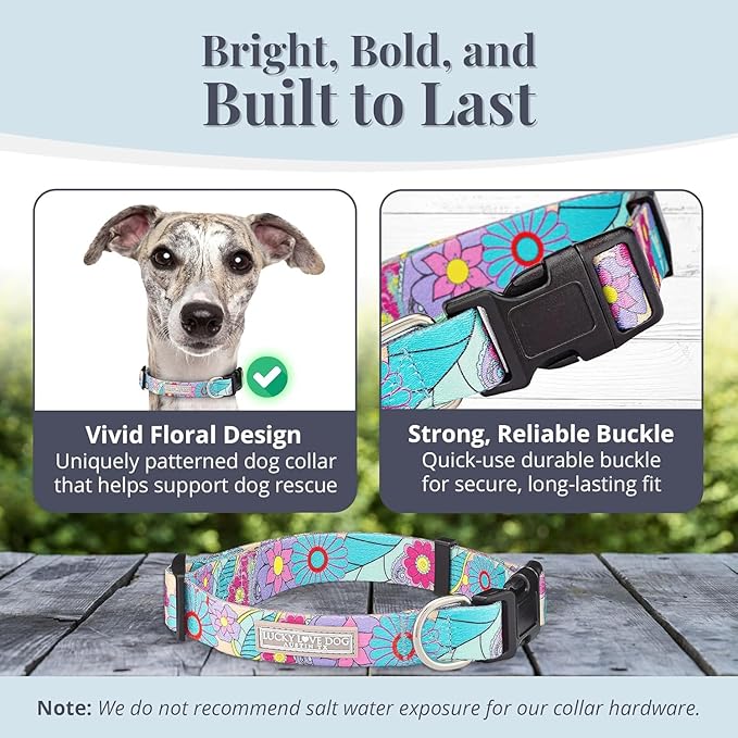Lucky Love Dog Collars, Cute X-Small Dog Collars for Female Dogs, Part of Purchase Donated to Rescue, Caroline, Extra Small