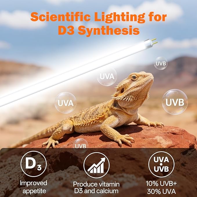 T5 UVB Reptile Light Fixture Combo Kit 8W: 10.0 HO UVB Light for Reptiles Terrarium Hood Comes with UVB Lamp, 12'' Linear UVB Light Bar for Desert Bearded Dragon,Turtle,Gecko - UV Sensor Test Card