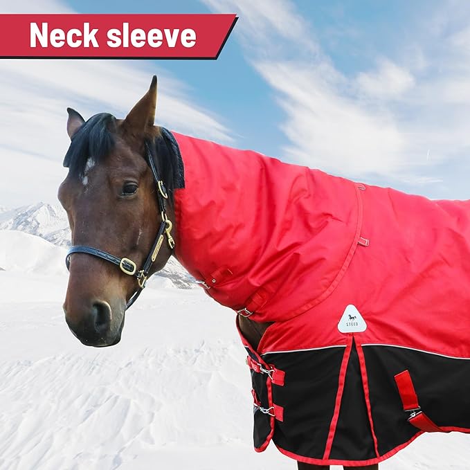 Surcingle Turnout Blankets for Horse,1680D Winter Water-Resistant HorseTrunout Sheets, 300g Warm Polyester Filling Liner, Medium Weight with Turnout Neck Cover Detachable (US 81 in/EU 155 cm)
