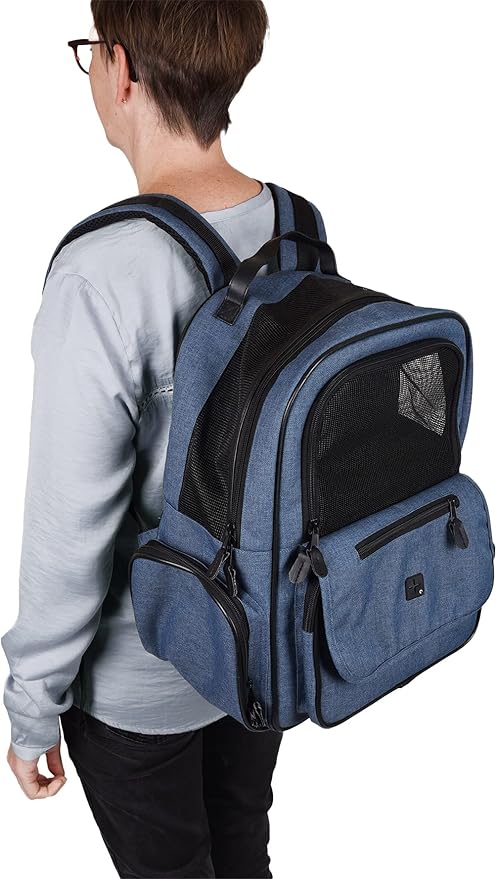 Flamingo F WIRO Backpack Blue 40 x 25 x 41 cm
