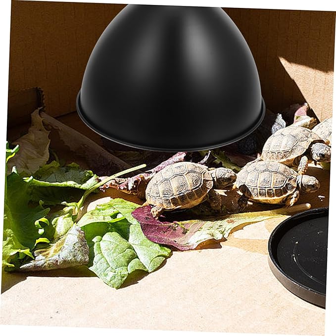 STOBAZA 2pcs Box Reptile Heat Lamp Shade Reflective Dome Lamp Fixture for Lizards Snakes Turtles