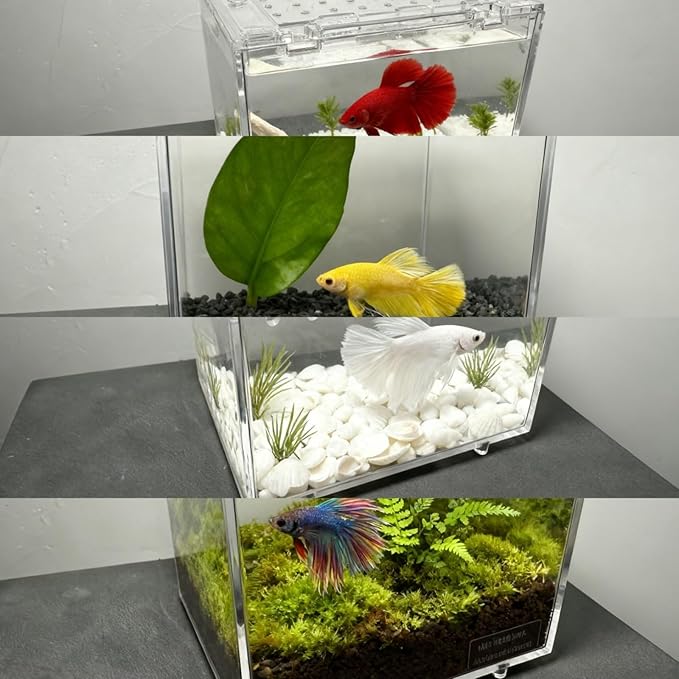 Mini Transparent PC Terrarium, Small Reptile Enclosure with Ventilation & Magnetic Closure for Jumping Spider, Tarantula, Hermit Crab and Other Small Pets