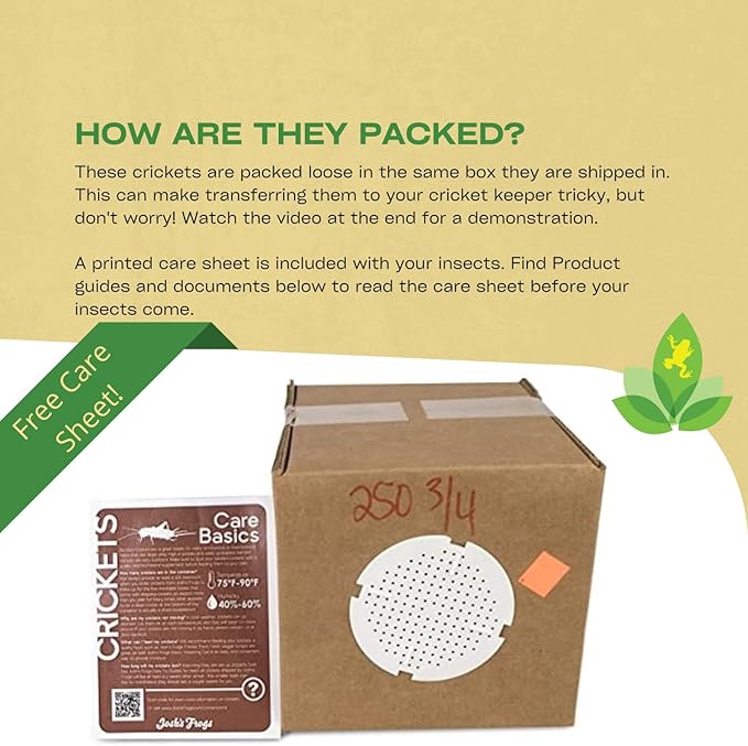 Josh's Frogs 3/4" Banded Crickets (250 Count)