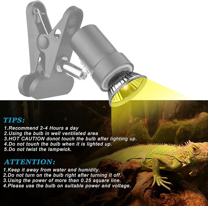 DOMICA Smart Heat Lamp for Reptiles with Auto Timer (2/4/8 Hours) 50W UVA UVB Light Bulb, Dimmable Basking Spot Light, Pet Heating Lamp for Turtle, Lizard, Snake, Beared Dragon, Bird Cage