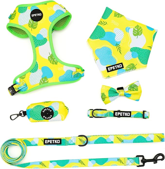 Small Dog Harness and Leash Set of 6, No Pull Soft Lightweight Mesh Puppy Harness， Adjustable Cute Floral Pattern Pet Harness for Small Medium Dogs (Green Leaf, XS)