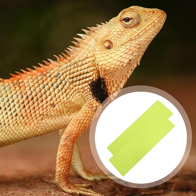 BESPORTBLE 2Pcs Reptile Mat Cuttable Washable Terrarium Bedding Pad for Bearded Dragon Leopard Gecko Snakes Reusable Non-Dusty Substrate Carpet for Tanks