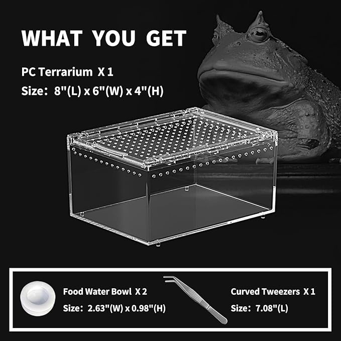 Reptile PC Terrarium 8" x 6" x 4", Tarantula Enclosure,Spider Tank Starter Kit, Hermit Crab Habitat,Lizard Enclosure,Insect Housing,Jumping Spider Cage (Small)