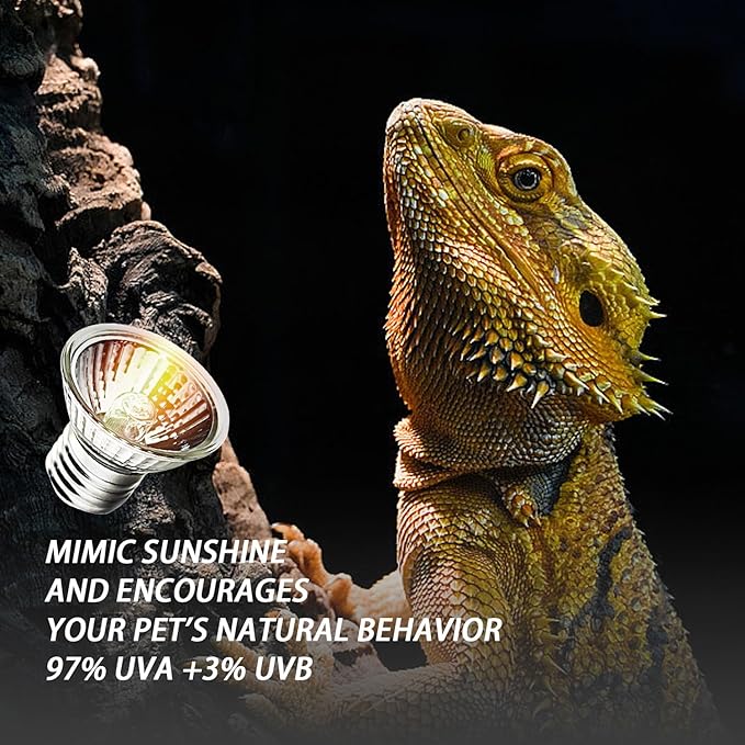 6-Pack 25W UVA Bulbs, Light Turtle Heat Lamp for Reptiles and Amphibian Tanks, Terrariums and Cages, Fit E26 Heat Reptile Lamp,Works with Various Lamp Fixtures