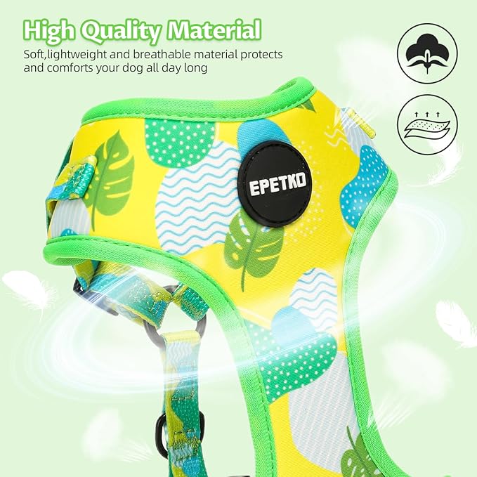 Small Dog Harness and Leash Set of 6, No Pull Soft Lightweight Mesh Puppy Harness， Adjustable Cute Floral Pattern Pet Harness for Small Medium Dogs (Green Leaf, XS)
