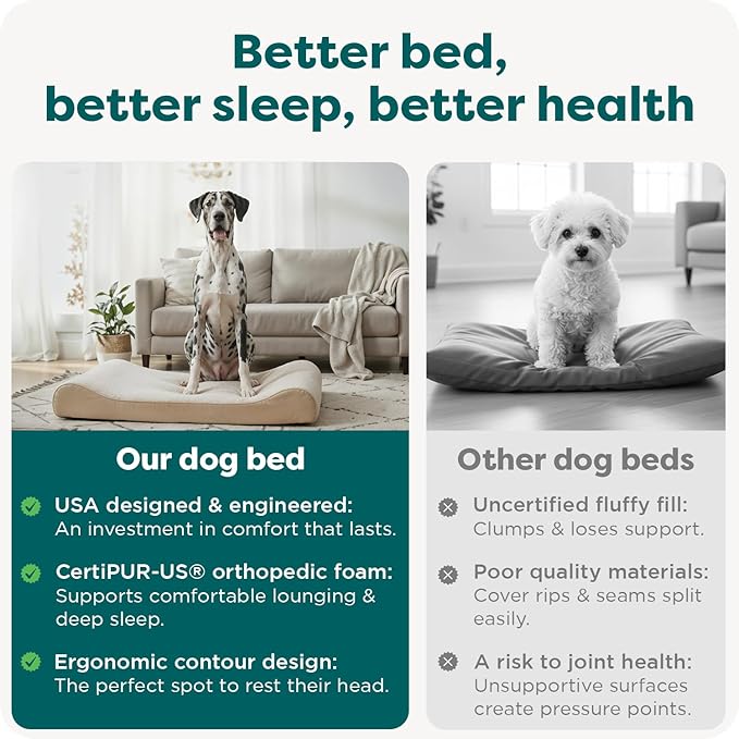 FurHaven Orthopedic Dog Bed for XX-Large Dogs, Luxe Lounger Contour Mattress with Medical-Grade Solid Orthopedic Foam for Joint Support, Removable Washable Cover - Jumbo Plus/XXL, Plush Suede, Cream