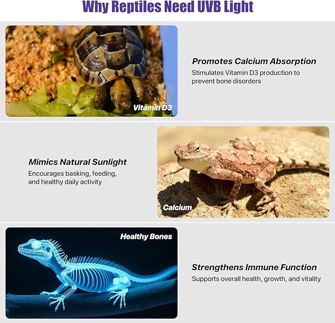 8.5" Aluminum UVB 10.0 LED Reptile Light Bar with Timer & Dimmer, Ultra-Slim Metal UVB/UVA Lamp for Terrariums – Even Light Output, Long Lifespan, Ideal for Bearded Dragons, Turtles & Lizards