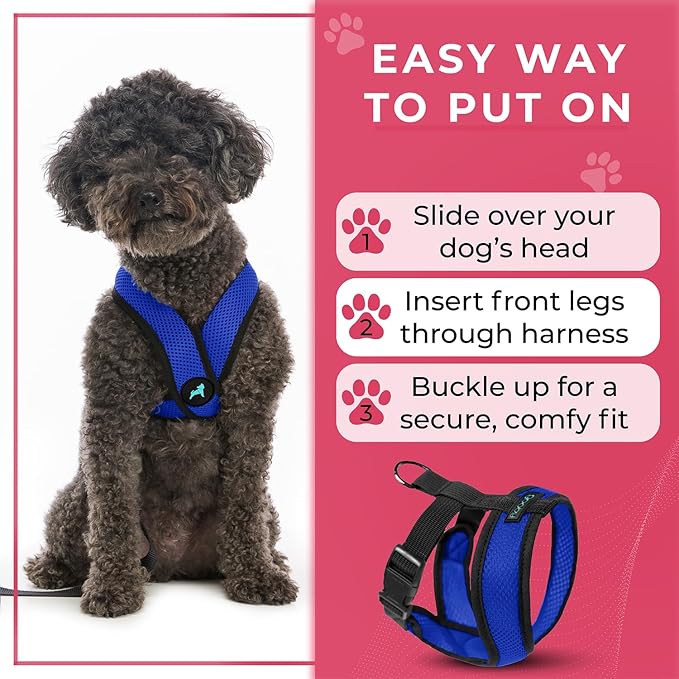 Gooby Comfort X Head In Harness - Blue, X-Large - No Pull Small Dog Harness Patented Choke-Free X Frame - Perfect on the Go Dog Harness for Medium Dogs No Pull or Small Dogs for Indoor and Outdoor Use
