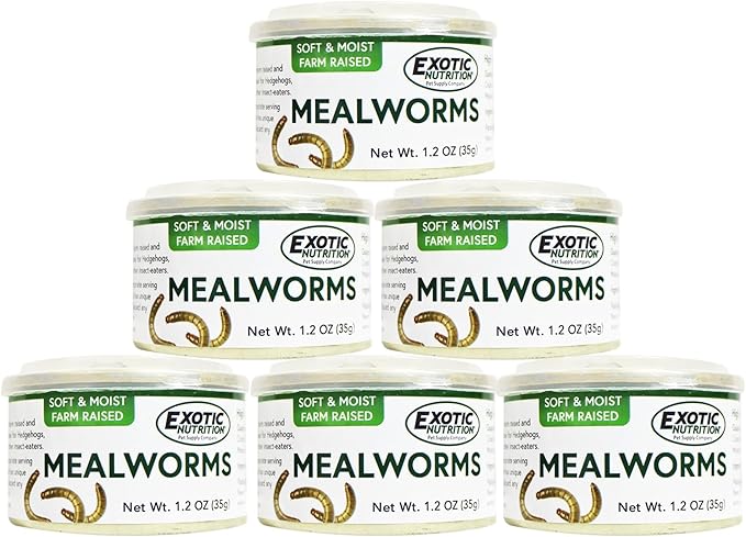 Canned Mealworms (1.2 oz. 6 Pack) - Healthy High Protein Insect Treat - Hedgehogs, Sugar Gliders, Reptiles, Wild Birds, Chickens, Lizards, Bearded Dragons, Skunks, Opossums, Fish, Amphibians, Turtles