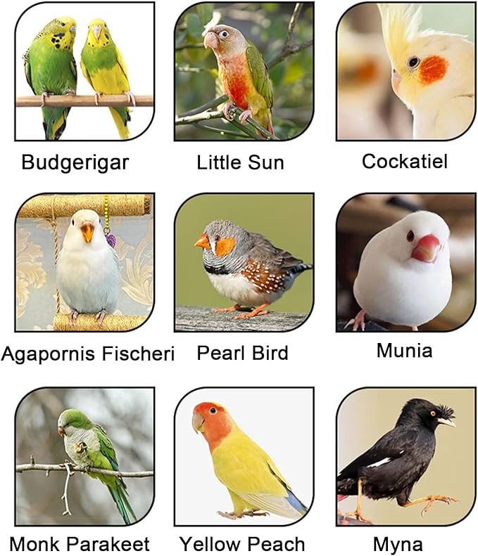 Outdoor Flight Bird Cage White, Parakeet Bird Carrier Travel Cage Indoor Flight Bird Aviary for Cockatiels, Canaries, Finch(Medium(7pcs))