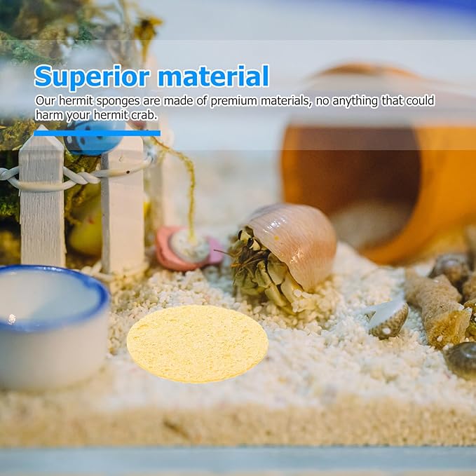 VILLCASE 12pcs Hermit Crab Sponges Pet Crab Sea Sponges Water Dish Provide Nutrients for Pet Tank Humidity Supplies