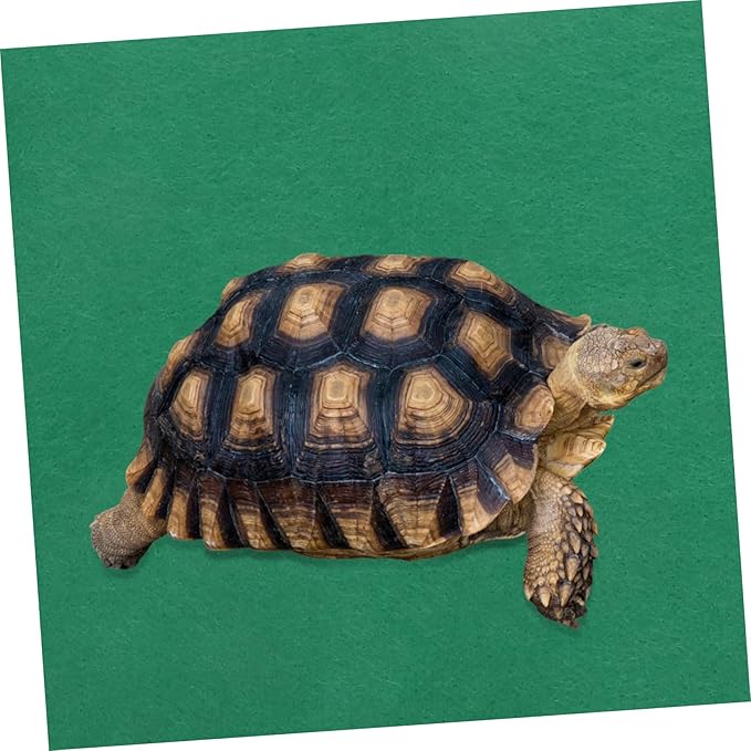 Abaodam Reptile Mat Warm Cushion for Tortoise Reptiles for Winter Sleeping Pad Essential Reptile Supplies