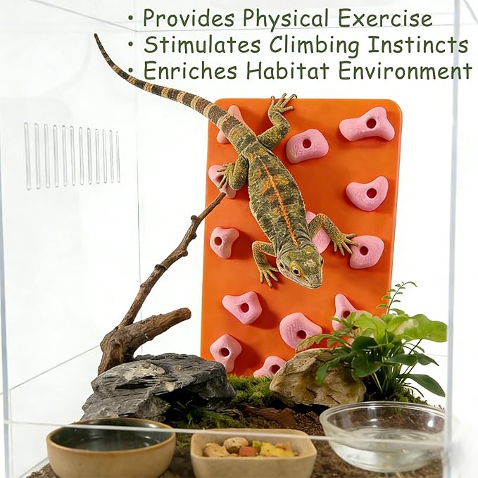 Mini Reptile Rock Climbing Wall, Terrarium Enclosure Enrichment & Habitat Décor for Bearded Dragons, Geckos, Lizards, Snakes, Tree Frogs and Small Amphibians (Orange & Pink)