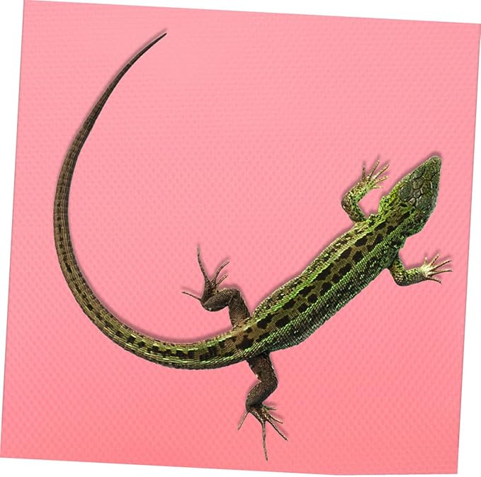 GANAZONO Reptile Habitat Carpet Mat EVA Substrate Soft Non-Slip Bedding Liner for Leopard Gecko Bearded Dragon Snake Tortoise Terrarium Tank Accessories Pink