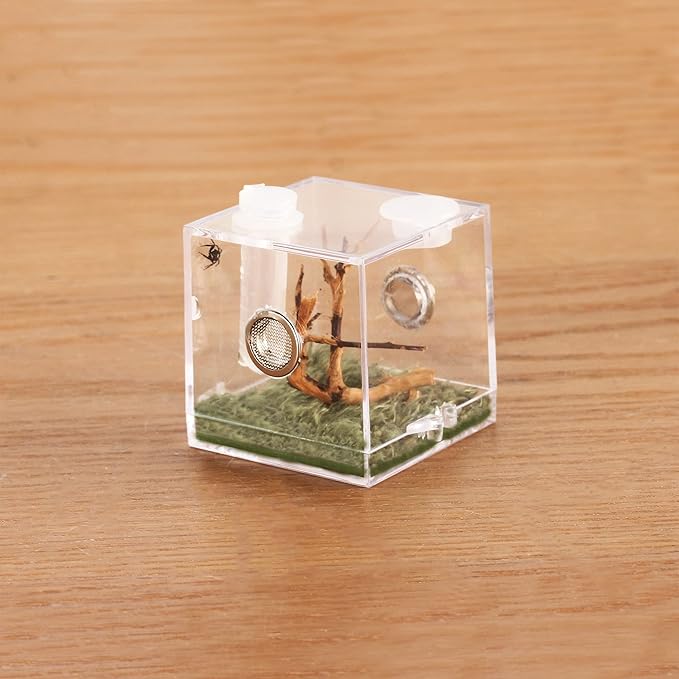 crapelles Jumping Spider Micro Middle Habitat, Small Pet Insect Breeding Box, 360 Degree Transparent Reptile Cage, Acrylic Case Mini Carrier for Amphibians, Feeding Container Enclosure Accessories