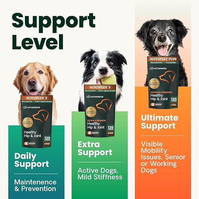 VetriScience Extra Strength Healthy Hip & Joint Chews, GlycoFlex Glucosamine & Green-Lipped Mussel Support Supplement for Dogs, Promote Mobility & Soothe Joint Discomfort, Chicken, 3 Pack