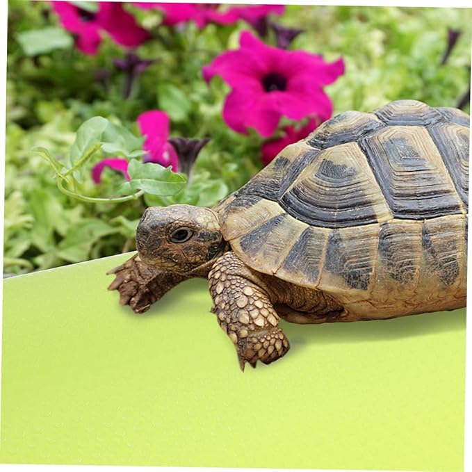 COLLBATH Reptile Enclosure Carpet Eva Material Bedding for Terrarium Leopard Gecko Accessories Lizard Lounger