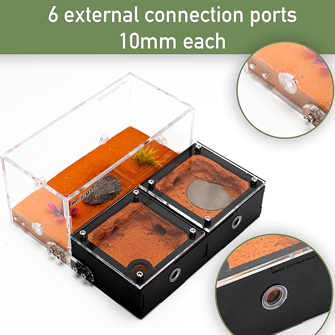 Terra Core Expandable Dual Chamber Formicarium Ant Nest with Starter Kit
