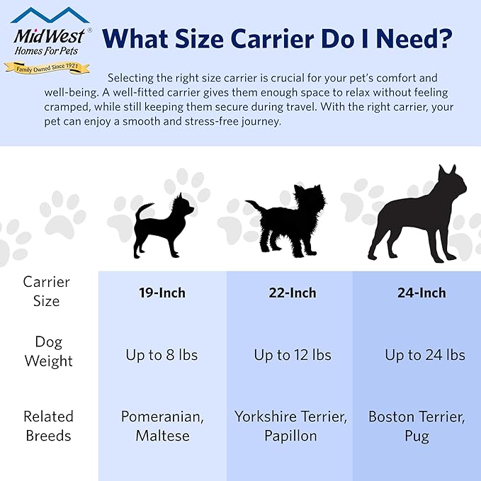 MidWest Homes for Pets Spree Travel Carrier – Hard-Sided Dog & Cat Carrier, Small Pet Travel Crate with Handle, Ventilated Design, Easy Assembly, 19-Inch, Blue