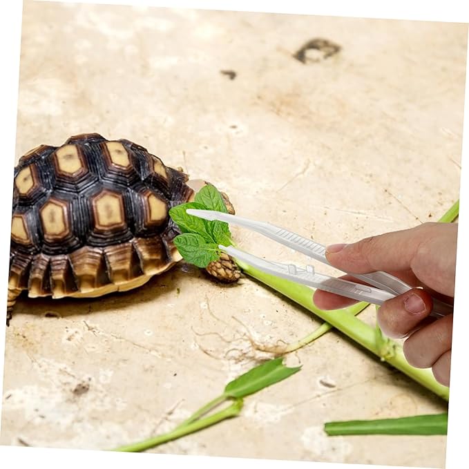 2Pcs Reptile Feeding Tweezers Pet Feeding Clips for Lizards Turtles Frogs Tool for Feeding Terrariums and Aquariums