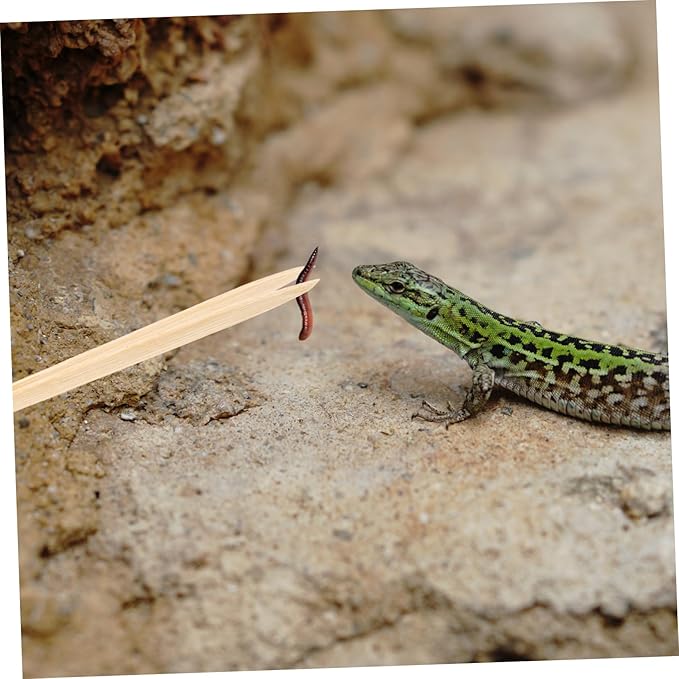 Sosoport Reptile Care Tool Lightweight Compact Bamboo Tweezers for Easy Feeding and Pet Accessories