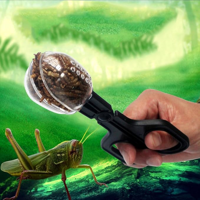 hejhncii Amphibians Feeder Tweezers Tongs Tweezers Pet Feeding Catching Tool Reptiles Supplies Reptiles Amphibians Health