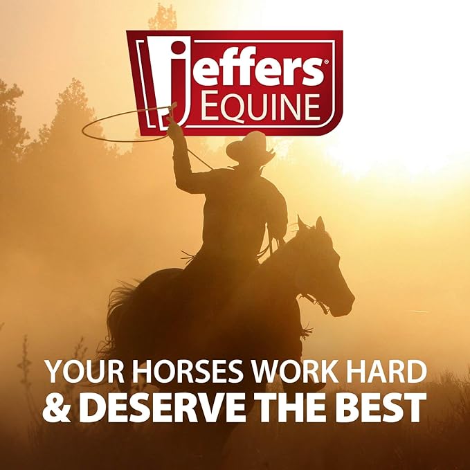 Jeffers Expression Protective Horse Boots, 1 Pair, Large - Safe Neoprene Leg Guards, Durable Strap Closures, Front & Hind Support, Equestrian Accessories for Travel & Riding - Purple