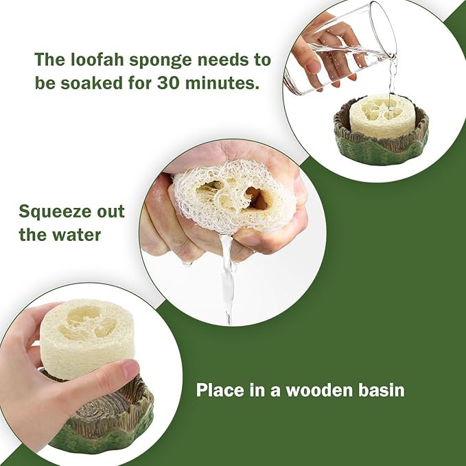 Cockroach Water Basin & 3 Loofah Set, Dubia Roaches Live Habitat Reptile Container Supplies for Terrariums & Enclosures, Comfortable Habitat for Roaches Live, Isopods, Springtails, Crickets