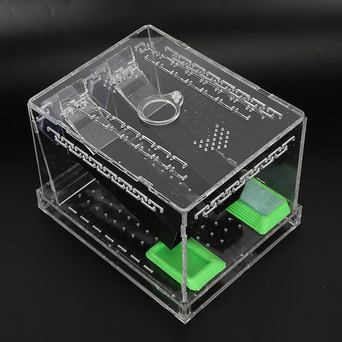 Acrylic Feeding Cricket Keeper Pen with Tubes Care Kit Tank Box for Reptile (Large 15x10x10cm/ 5.91x3.94in)