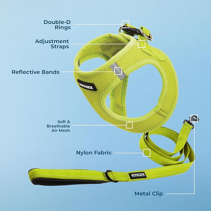 Best Pet Supplies Voyager Step-in Air All Weather Mesh Harness and Reflective Dog 5ft Leash Combo with Neoprene Handle, for Small, Medium and Large Breed Puppies - Set (Lime Green), Small