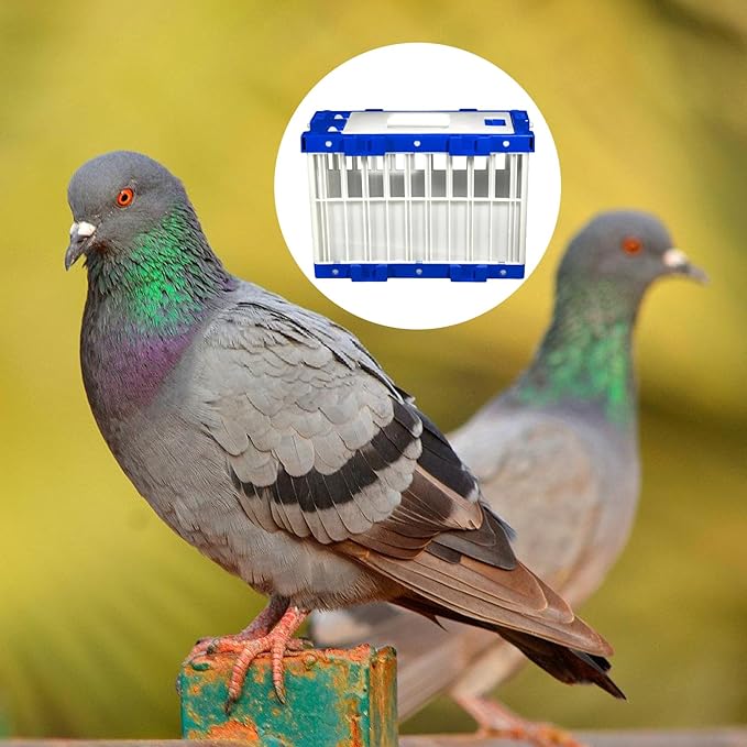Foldable Bird Cage Carriers for Racing Pigeons Parrots Outdoor Exercise Spliceable Bird Cage