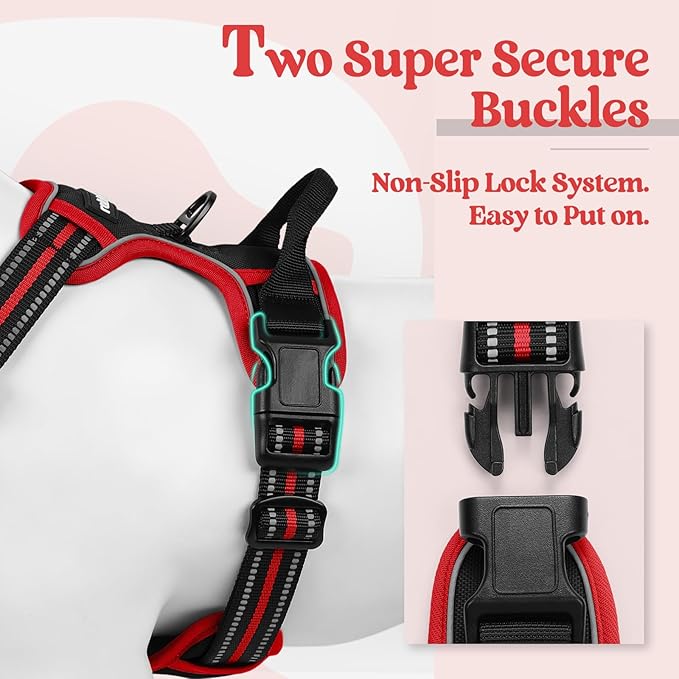 rabbitgoo Dog Harness No Pull with 2 Leash Clips, Adjustable Soft Padded, Reflective Oxford No Choke Pet Vest with Easy Control Handle for Small Dogs, Black & Red, S