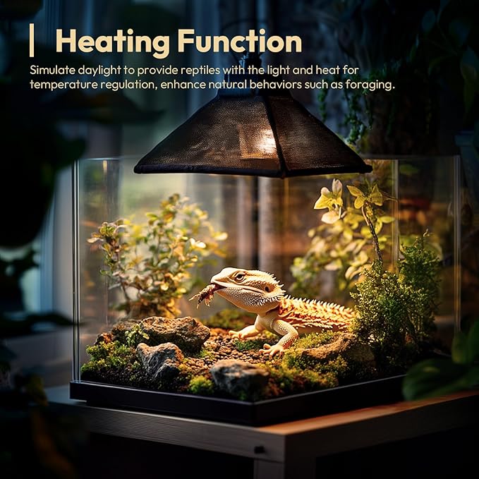 ALAMPEVER 2 Pack Reptile Heat Bulb, 75W Basking Light for Bearded Dragon, E26 Base, Durable Basking Bulb for Amphibian, Lizard, Tortoise, Gecko