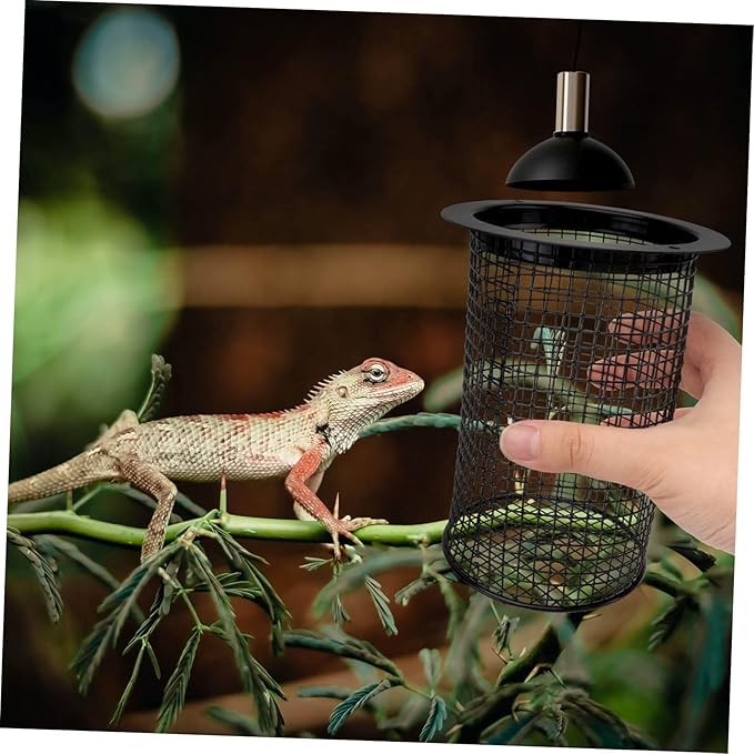 1Pc Round Scalding Lampshade for Reptile Heat Sources Practical Climbing Box Lamp Cover Essential Pet Supplies for Lizard Snake and Turtle Habitats