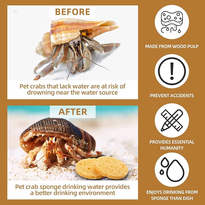 12 Pieces Hermit Crab Sea Sponges - Unbleached Supplies for Maintaining Tank Humidity - Pet Accessories Providing Nutrients