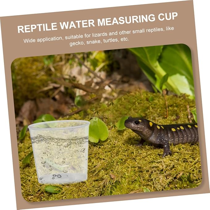 Milisten 30pcs Reptile Feeding Dish Measuring Cups for Lizard Food and Water Reusable Pet Supplies for Precise Portion Control