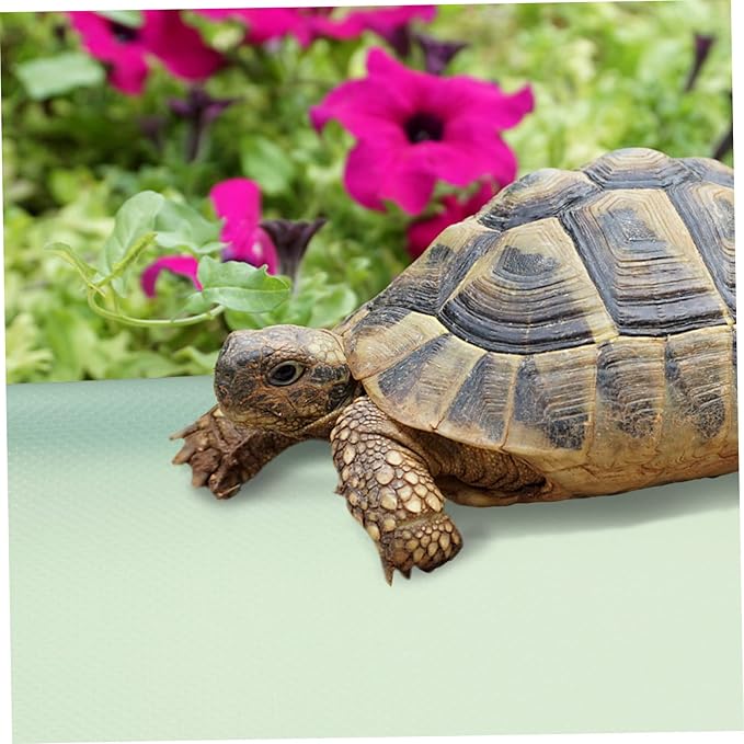 Reptile Carpet for Leopard Geckos Bearded Dragons Snakes Turtles Substrate Mat for Terrariums Non-Toxic Bedding Easy Clean Features