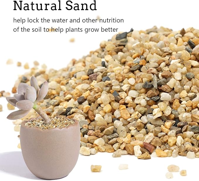 Coarse Sand Stone - Silica Sand for Plants, Soil Cover Succulents and Cactus Bonsai DIY Horticultural Sand, Decorative Sand for Vases Fillers,Terrarium, Fairy Garden,Natural Sand Top Dressing
