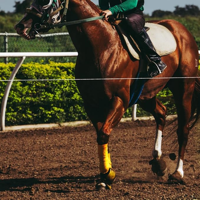 Horse Polo Wraps 2.5m Soft Fleece Polo Wraps Equestrian Leg Bandage Wrap Set of 4 Packs (Yellow - 2.5m)