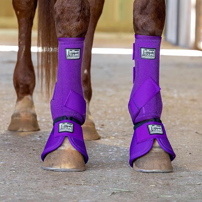 Jeffers Equine No Turn Bell Boots for Horses - Purple, Large | Shock Absorbing Hoof Protection | Secure Double Hook & Loop Closure, Perfect for Travel, Turnout, Training, & Riding - 1 Pair
