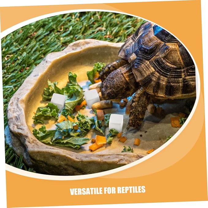 ORFOFE 30Pcs Natural for Reptiles Tortoises Frogs Chameleons Promotes Health Growth Care for Amphibians Essential for Reptile Care