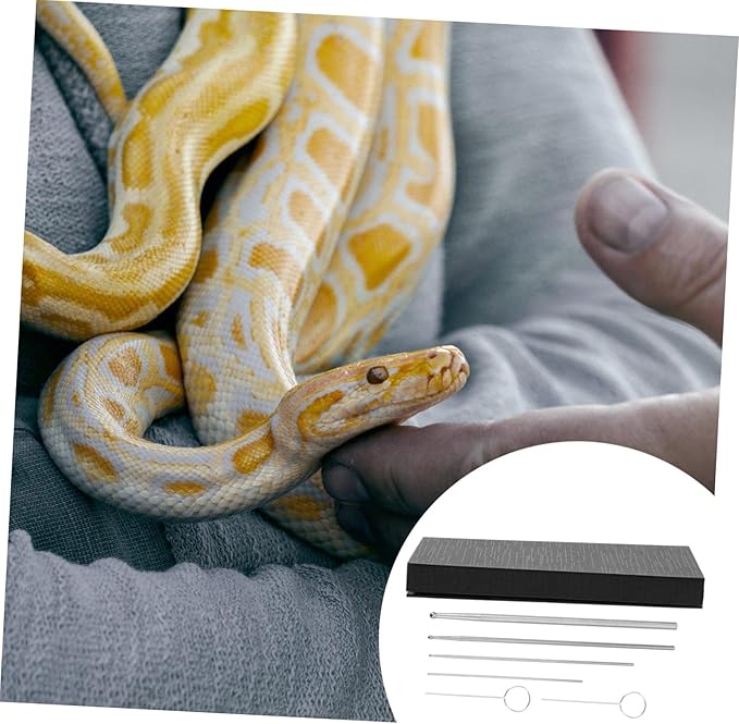 Toddmomy 6pcs Snake Probe Snake Sexing Tool Reptile Terrarium Supply Easy to Use Gender Probe