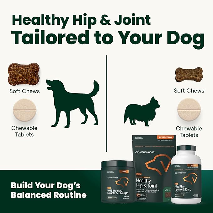 VetriScience Extra Strength Healthy Hip & Joint Chews, GlycoFlex Glucosamine and Green-Lipped Mussel Joint Support Supplement for Dogs, Chicken, 60 Count (Pack of 2)