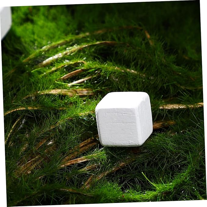 Happyyami 30pcs Natural Mineral Calcium Blocks for Turtles Tortoises Lizards Frogs Chameleons Enhances Water Stability Supports Growth and Versatile Reptile Amphibian Care